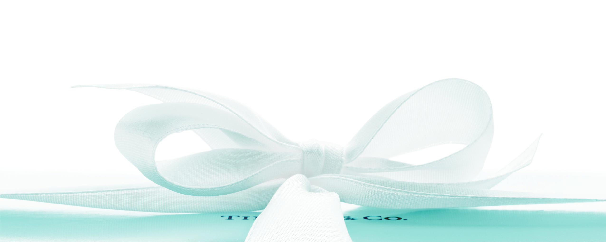 The World Of Tiffany Tiffany Co WOT LP Hero Defaultaspx