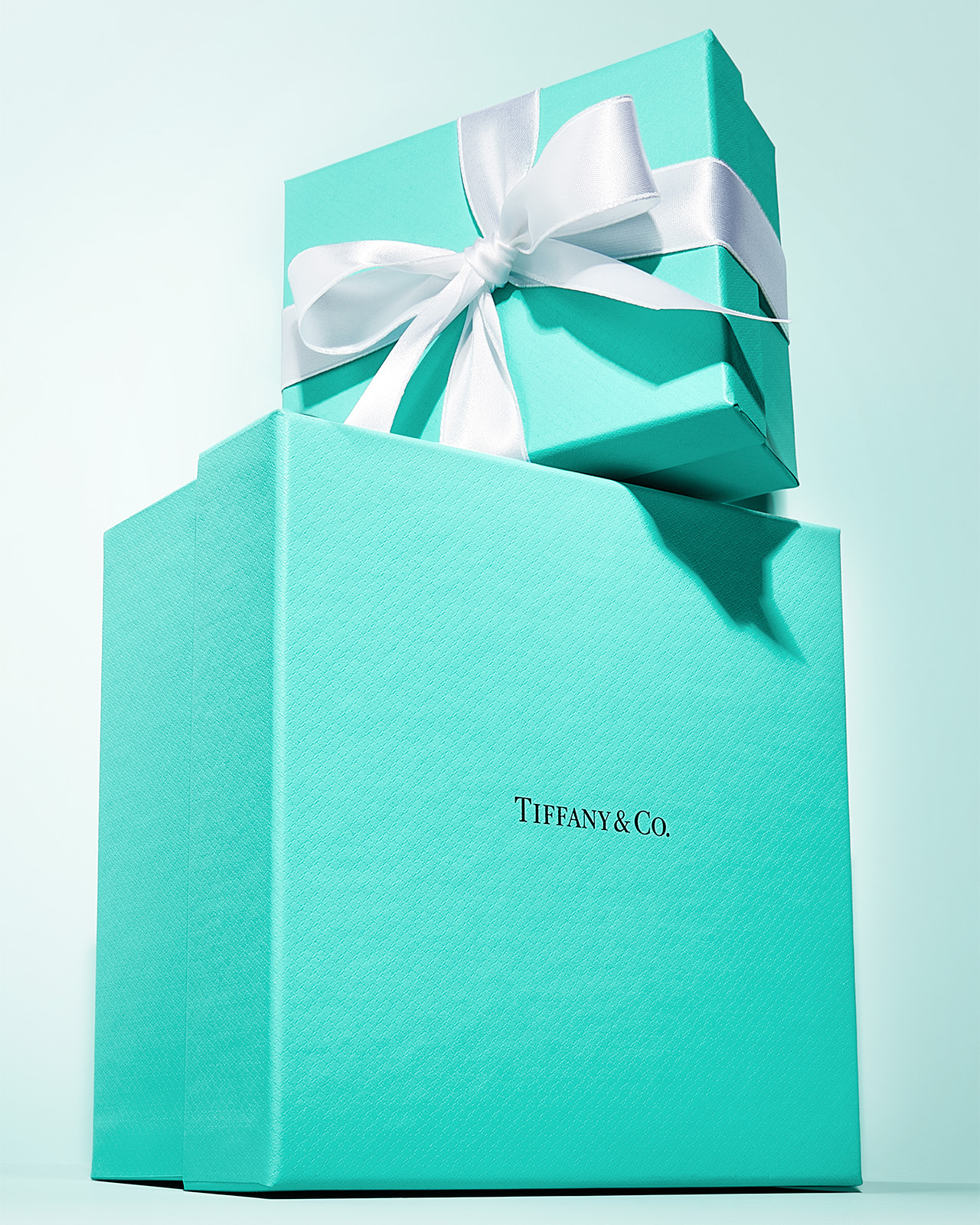 Tiffany & Co. US | Luxury Jewelry, Gifts & Accessories Since 1837