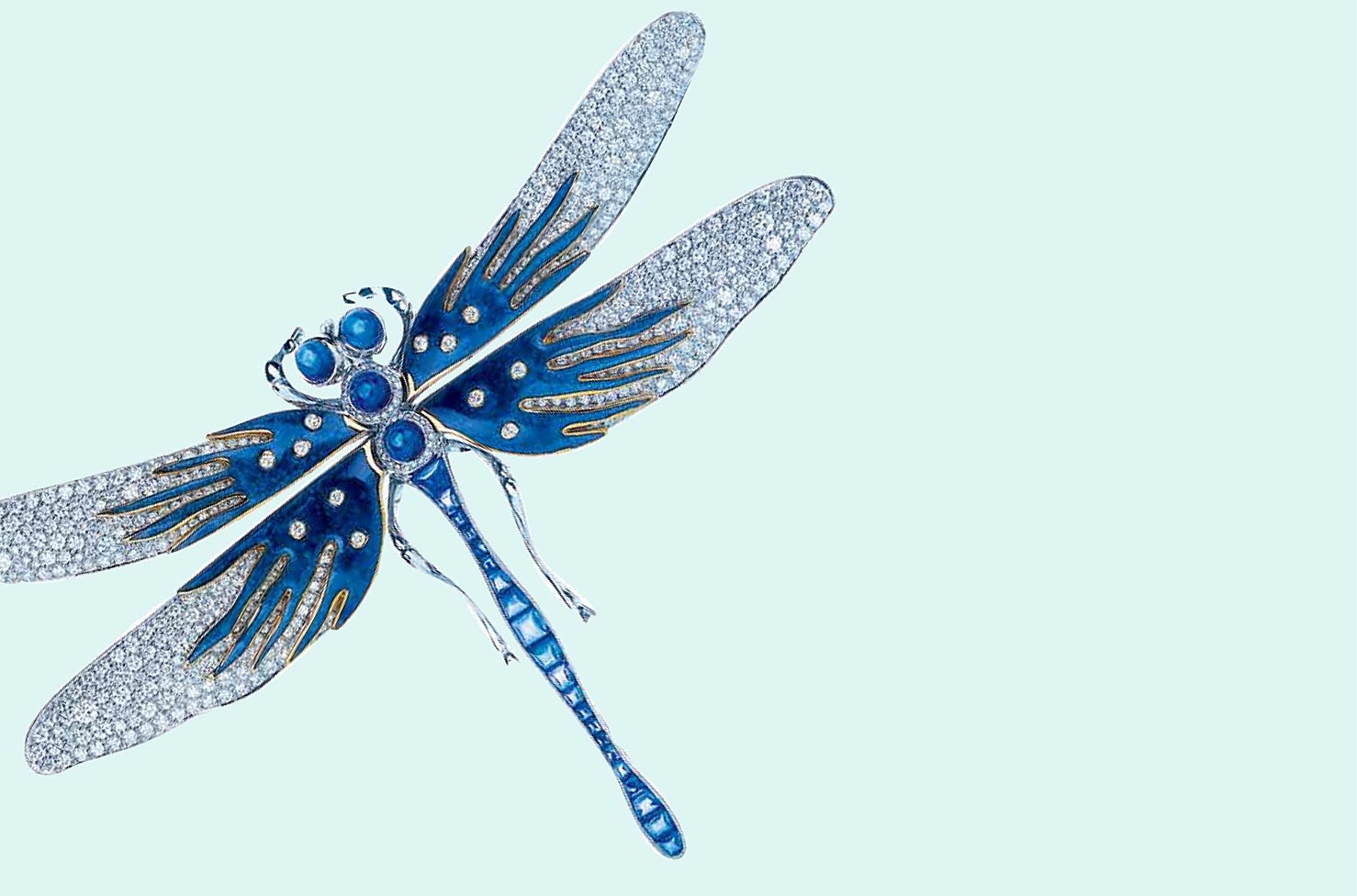 Dragonflies Of The World